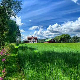 Mökki Vesamaa 