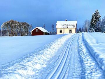 Mökki Vesamaa